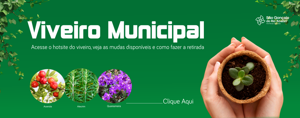 Viveiro Municipal 